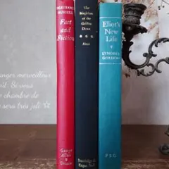 B281 ヴィンテージ 洋書 お洒落な組み合わセット ディスプレイ インテリア