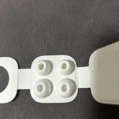 AirPods Pro用 イヤーピース S とL白