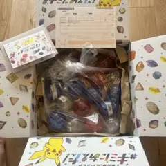 未開封】ポケモン パッケージ＆カートリッジキーホルダー 3世代 計20個 