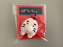 2026年最新】どせいさんぬいぐるみの人気アイテム - メルカリ