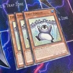 遊戯王 ファーストペンギン 英語 3枚 1st