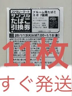 プルーム用たばこエボ　引き換え券　11枚