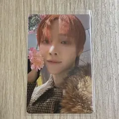 &TEAM NICHOLAS 雪明かり （n-0017）