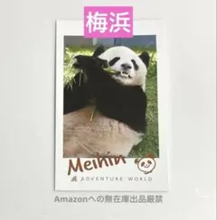 梅浜　ブランドミニカード　アドベンチャーワールド　パンダのサムネイル