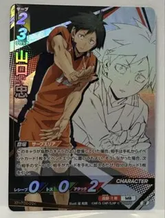 ハイキュー　バボカ　最強の挑戦者　頂 山口 忠