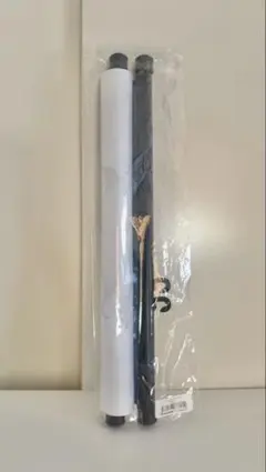 Item thumbnail for item 61c470d0-df8f-468a-bfc5-21c4312d4385