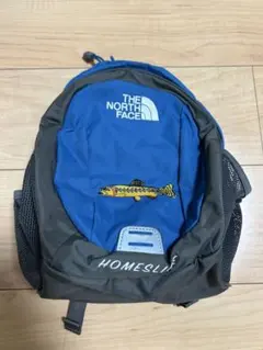 THE NORTH FACE HOMESLIE 子供用リュック