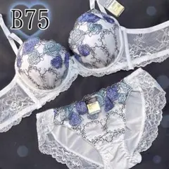 Item thumbnail for item 9cf7e46b-1d60-417d-97a3-8d4cff5ac9f5