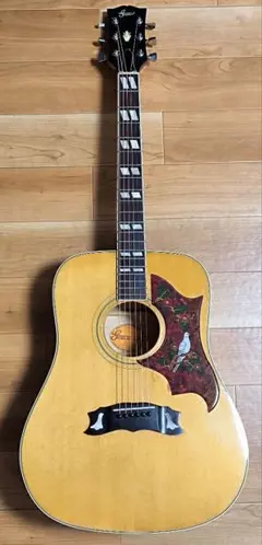 Jumbo Hummingbird 単板 ジャパンビンテージ '70s PG新品 - メルカリ