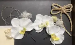 「期間限定」胡蝶蘭髪飾り　和装　前撮り　結婚　式卒業式　白無垢　ドライフラワー