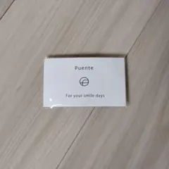 Puente シルバーカラー ネックレス