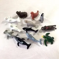 Item thumbnail for item a99ccb79-9e18-45c9-980f-6a9d68f581dd