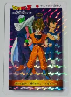 ドラゴンボールZ カードゲーム EX ホロカード キラ