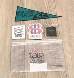 櫻井陽菜　fc限定　アクリルスタンド　アクリルキーホルダー　セット 櫻井陽菜 fc限定 アクリルスタンド アクリルキーホルダー セット