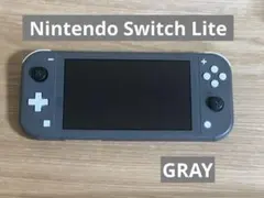Nintendo Switch Lite グレー