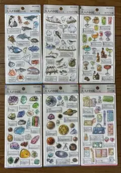 【正規品】　大人の図鑑3D ビジュアルコレクション　6枚セット