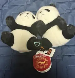 2026年最新】シャオシャオ レイレイ ぬいぐるみの人気アイテム - メルカリ