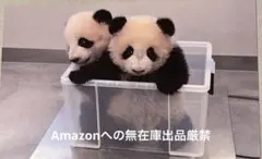 アキちゃん様 リクエスト 2点 まとめ商品