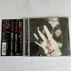 The Brow Beat ブロビ メガギガ タワレコ限定盤 佐藤流司 - メルカリ