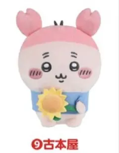 ちいかわ ぬいぐるみ マスコット 古本屋　エニマイ　2026のサムネイル