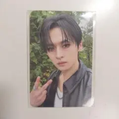 リノ タレントカード