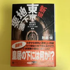 新説東京地下要塞 : 隠された巨大地下ネットワークの真実