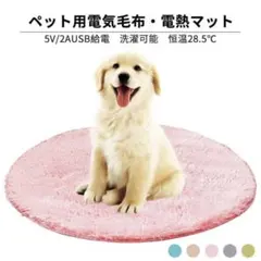 小動物にも❣️ペット用ホットマット 40cm ウサギ 猫 犬 電気マット 緑 恒温