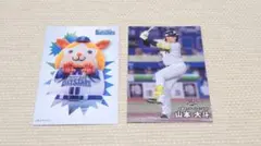 プロ野球チップス2026 横浜DeNAベイスターズ DB.スターマン 山本大斗