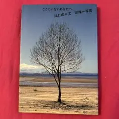 Item thumbnail for item 92ef93f2-19aa-4cfe-80da-fc56a20a1454