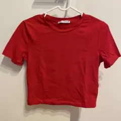 ZARA ミニT