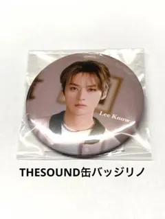 straykidsリノ缶バッジ THESOUNDリノ イリノ ミンホ