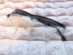 Item thumbnail for item 6d562a86-0e5a-4a32-b113-8e1a8f9d47c9