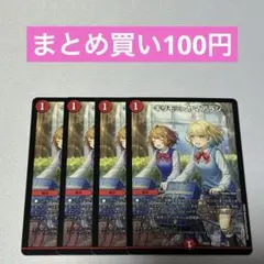 キリモミヤマアラシ 4枚 ④