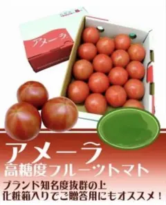 c1ケース　アメーラトマト　自信あります　高糖度　フルーツトマト　品質鮮度抜群！のサムネイル