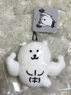 新品未開封ナガノキャラクターズマッチョなナガノのくまマスコット　ナガノマーケット