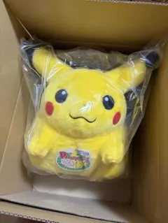 ポケットモンスター ポケモン30周年記念 おかえり！ピカチュウ1/1