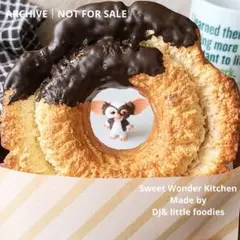 展示用】ココナツチョコドーナツ フェイクスイーツ ハンドメイド