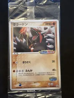 2026年最新】ポケパーク グラードンの人気アイテム - メルカリ