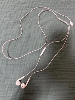 Apple EarPods Lightningコネクタ 本体