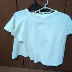 Item thumbnail for item 8376b44e-8751-431e-95b6-1bd1b87ffe49