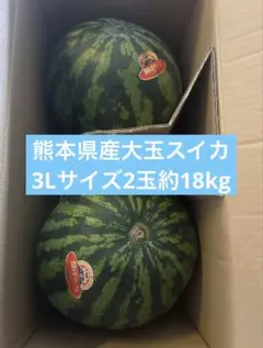 熊本県産 大玉スイカ 3Lサイズ 2玉 約18kg - メルカリ