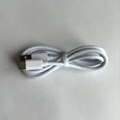 ライトニングケーブル タイプC