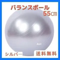 バランスボール 55cm ダイエットフィットネス エクササイズ ヨガ シルバー