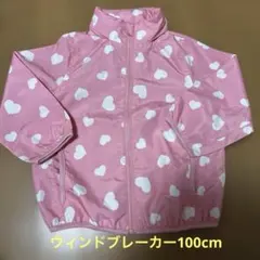 アウター フードなし