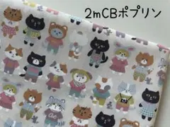 2m　ネコ　猫　CBポプリン　生地　アイボリー　A32