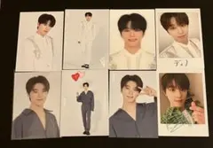 svt ディノ　コンプ