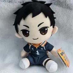 2025年最新】澤村大地 ぬいぐるみの人気アイテム - メルカリ