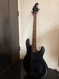 2026年最新】musicman ハードケースの人気アイテム - メルカリ