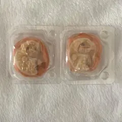 [즉시 구매가능] 후르츠파티 토이푸들 베이비 오렌지 2종 세트