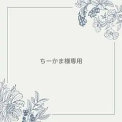 ちーかま様専用